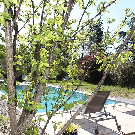 Guest house La D'isa